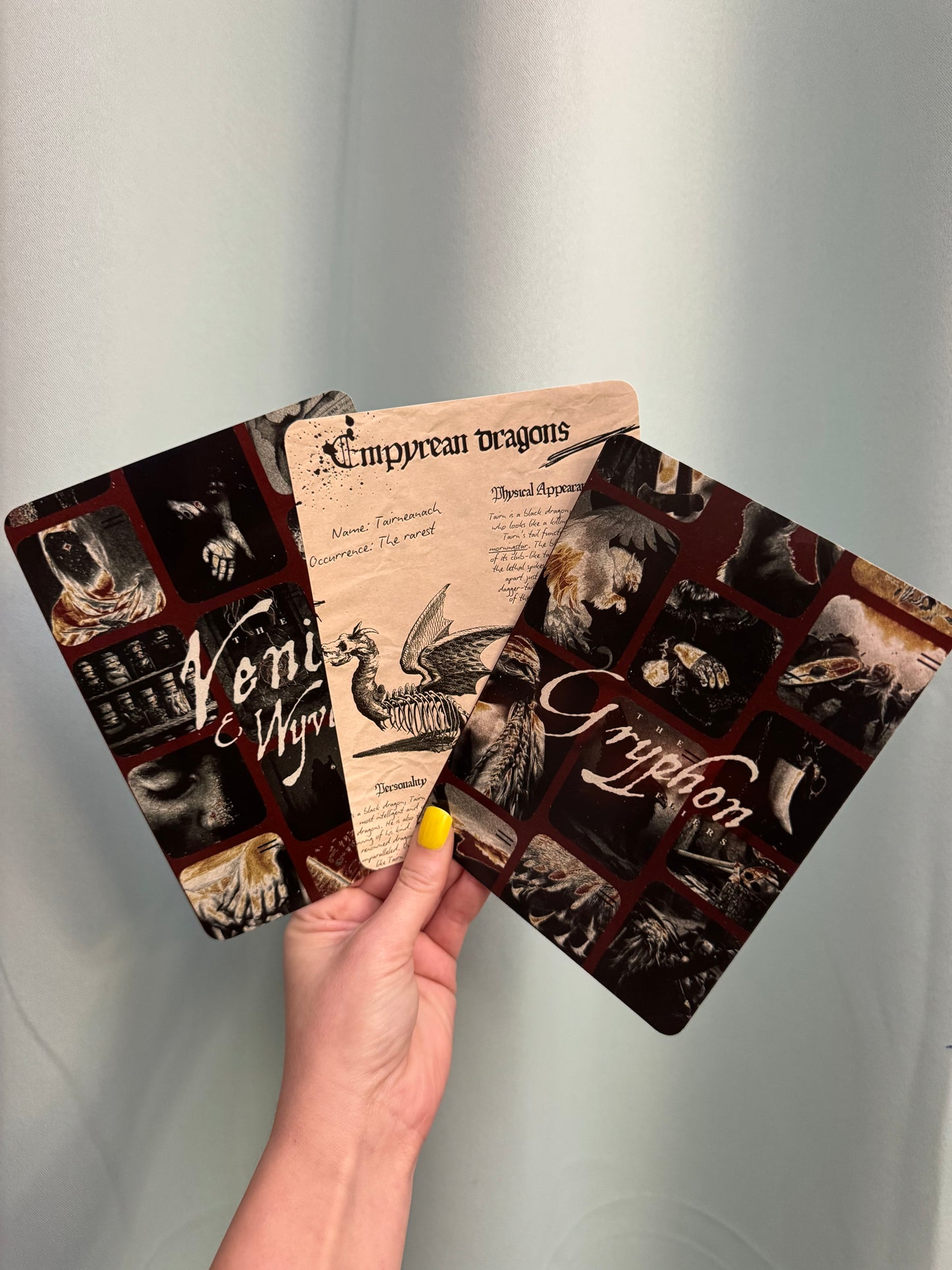 Custom Kindle/Scribe/and Ipad Case Inserts